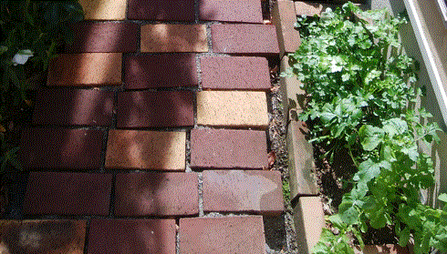 雑草対策 レンガやタイルでおしゃれにdiy 庭のリフォームもできるから安心 心地よい暮らし