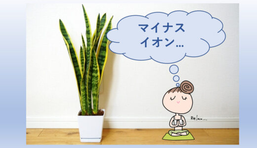 観葉植物を風水的に置いてみる 玄関 トイレ リビングにはどれが最適 心地よい暮らし