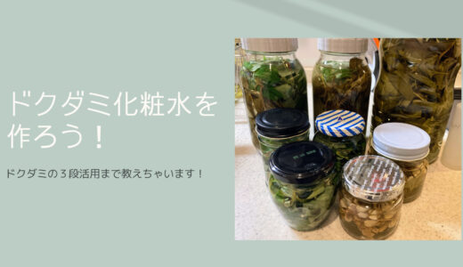 【どくだみ化粧水の作り方】葉×焼酎と花×日本酒で作ってみよう！