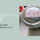 生葉で作るドクダミクリームの作り方