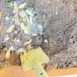 初心者でも自宅で簡単！コンポスト堆肥を作ってみよう