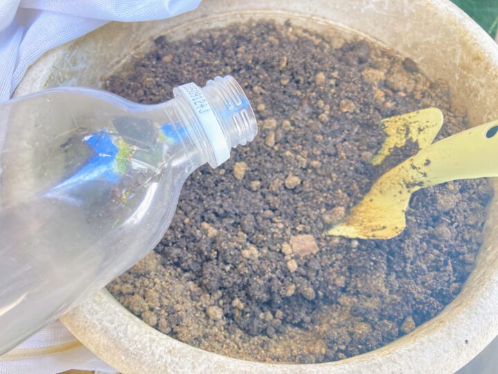 水を入れて混ぜる