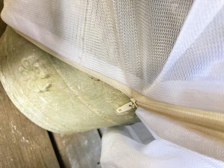コンポストの虫を防ぐ